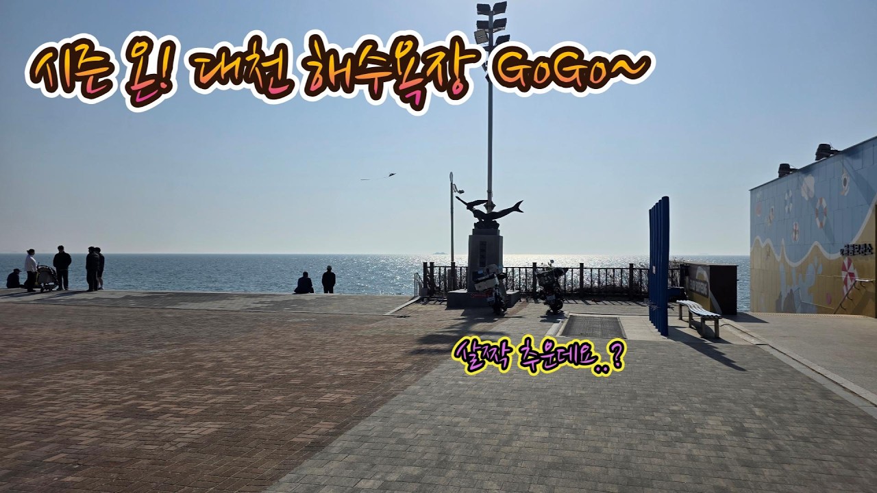 시즌 온!! 대천해수욕장 다녀오자!!(2026.02.28.)