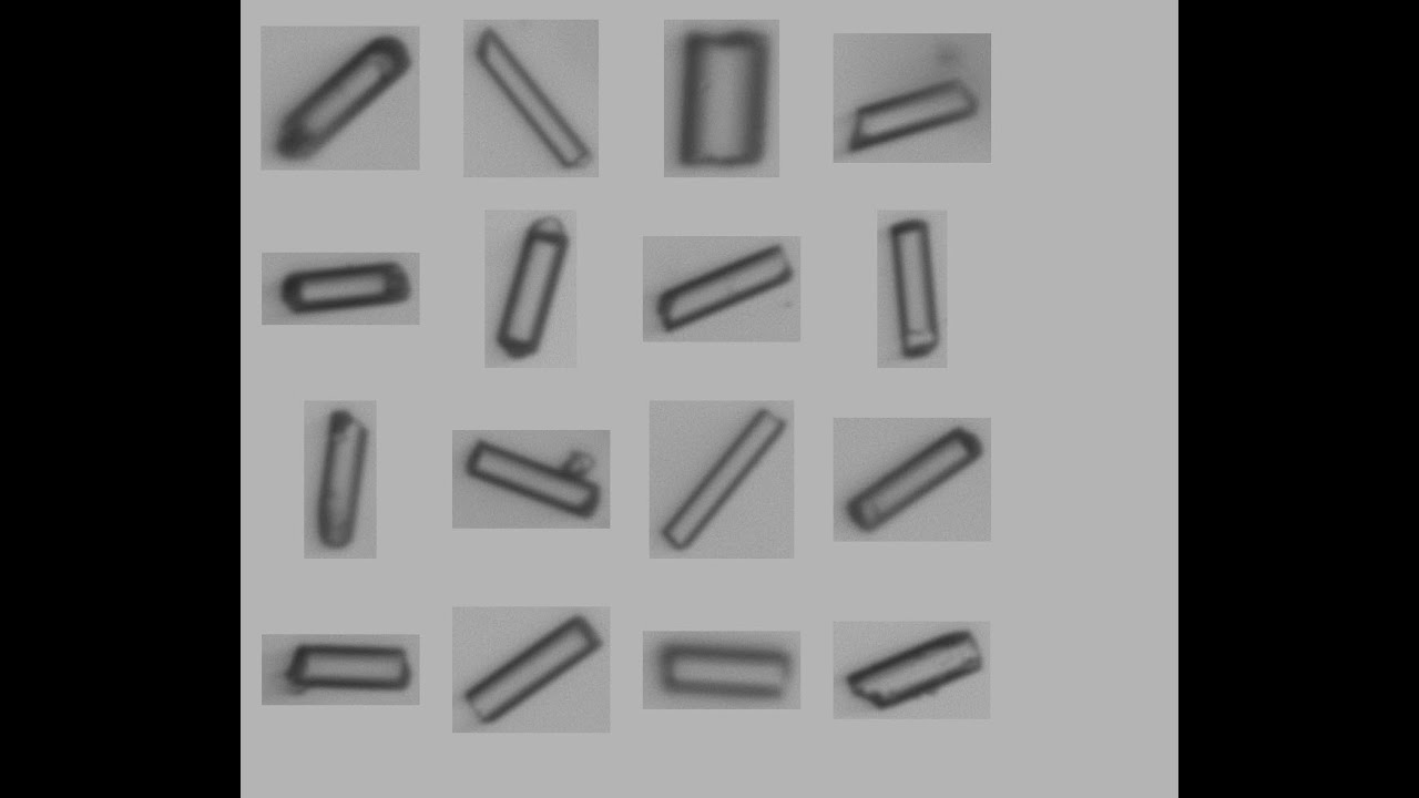 Fiber Particle Analysis using Dynamic Image Analysis