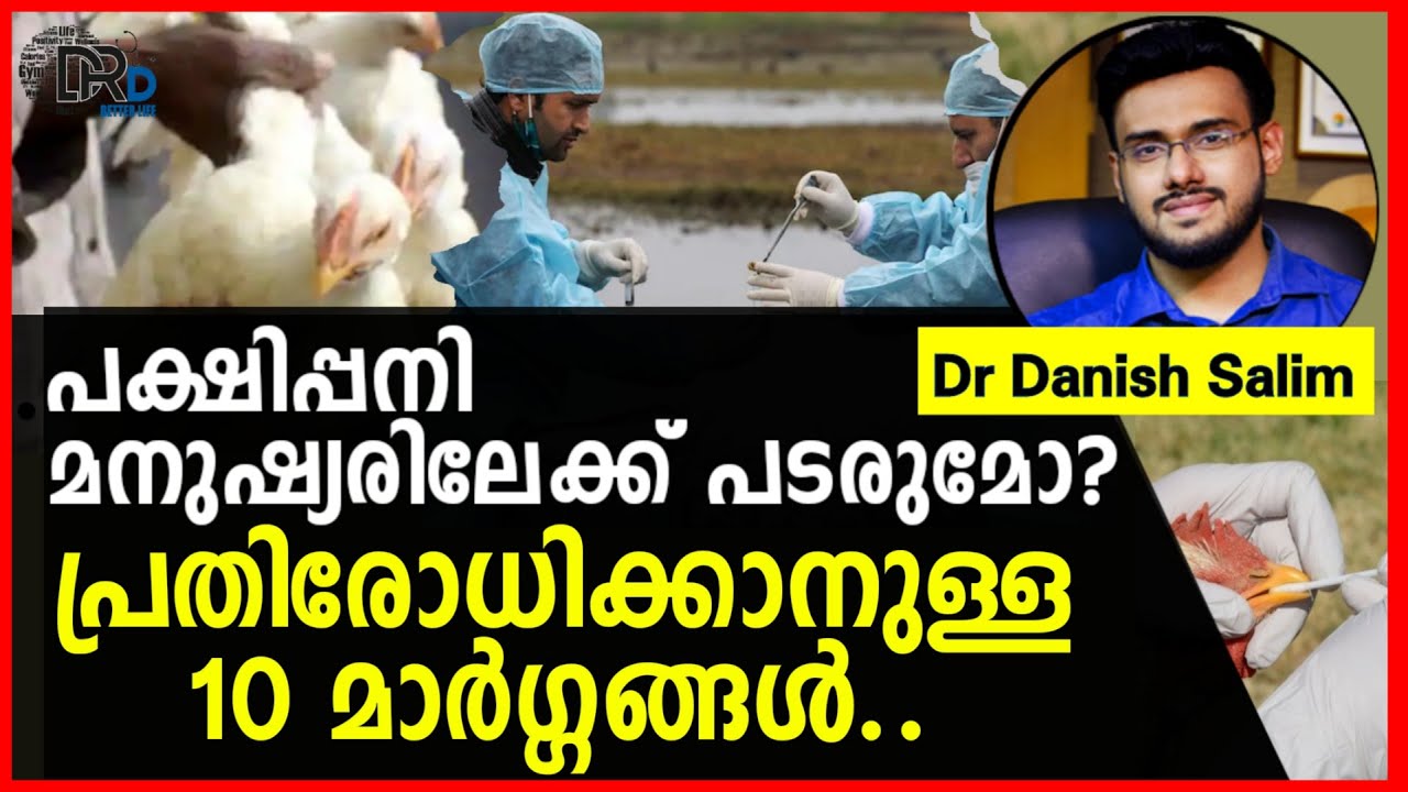 676:🐓 പക്ഷിപ്പനി‍ മനുഷ്യരിലേക്ക്? പ്രതിരോധിക്കാനുള്ള 10 മാർഗ്ഗങ്ങൾ..10 tips to prevent Bird Flu