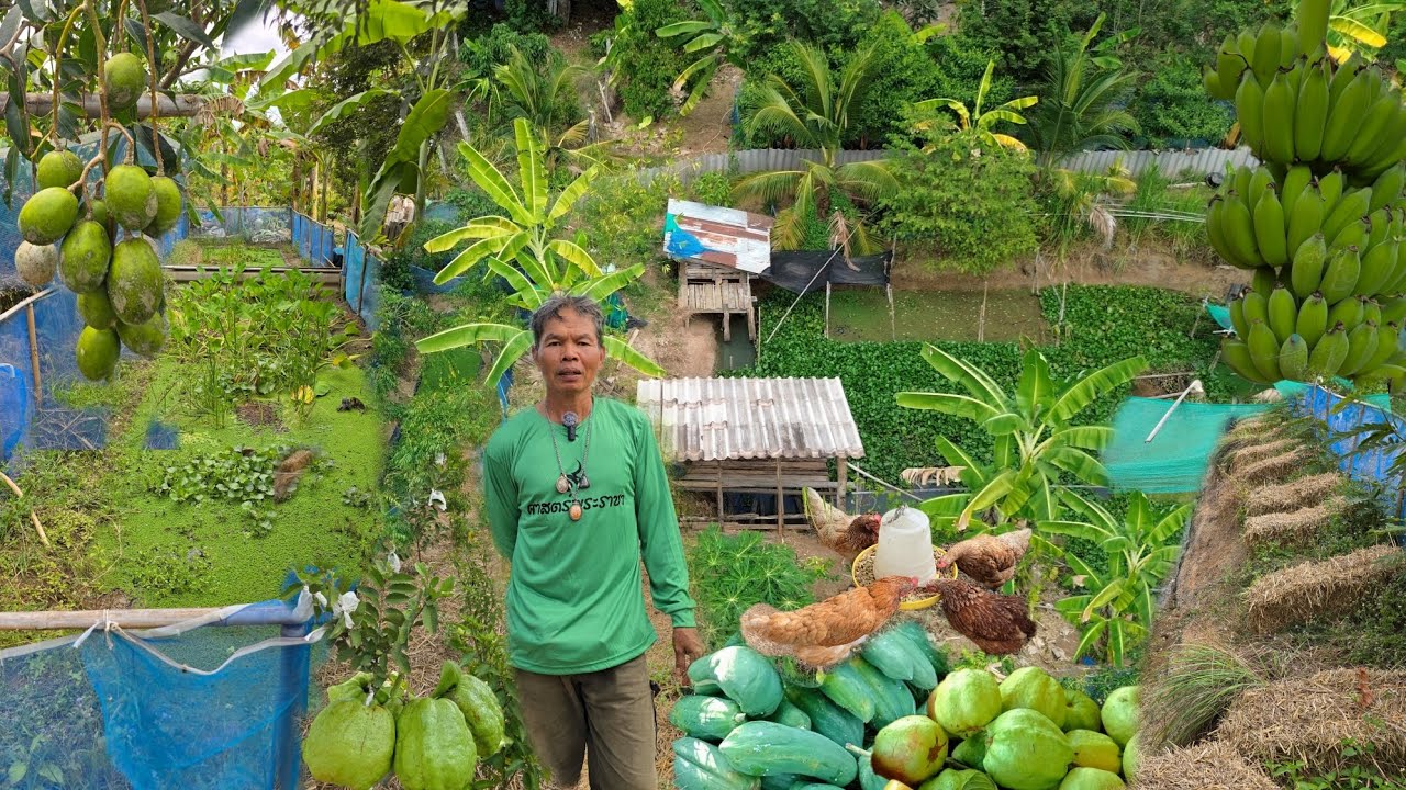 อยู่กรุงเทพฯ30ปีหนีความวุ่นวายกลับมา🧑‍🌾สร้างรายได้ทำเกษตรพอเพียงที่บ้าน
