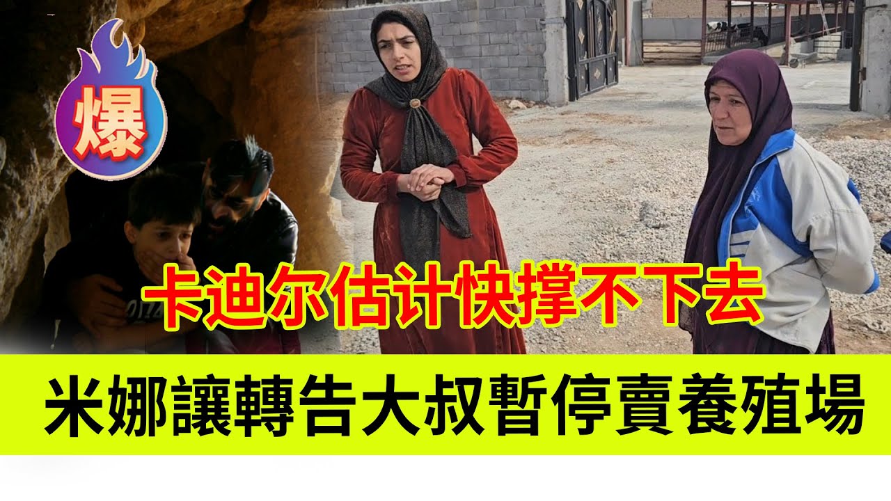 米娜让邻居阿姨转告大叔暂停卖他的养殖场，卡迪尔估计快撑不下去了。伊朗女人米娜纪录片最新后续
