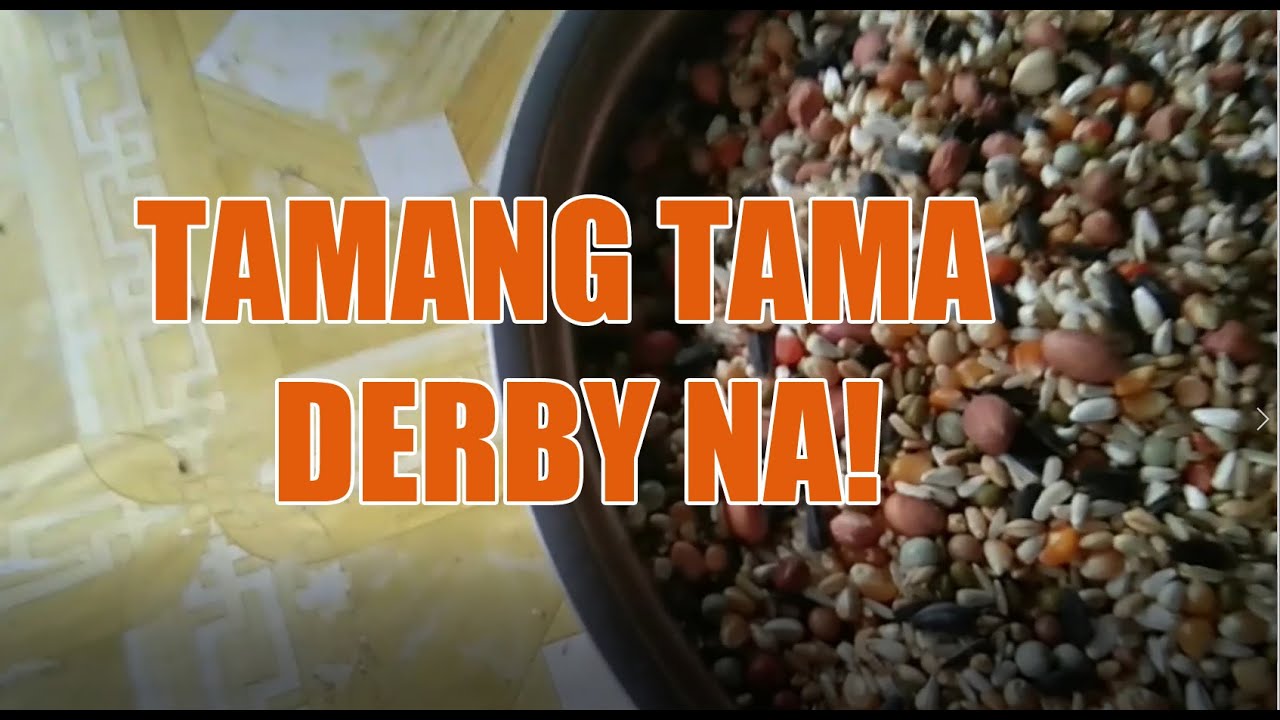 PAANO GUMAWA NG SARILING MIXTURE NG PATUKA | DERBY MIX FEEDS FOR OUR RACING PIGEON | FOR SHARE ONLY.