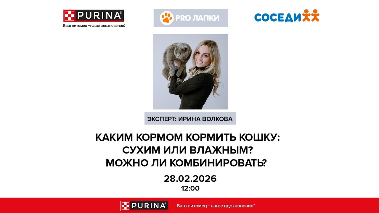 Вебинар от Purina ONE и клуба PRO Лапки