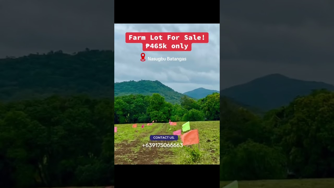Farm Lot For Sale in Nasugbu Batangas #nature #farmlotforsale #farmlife #investment