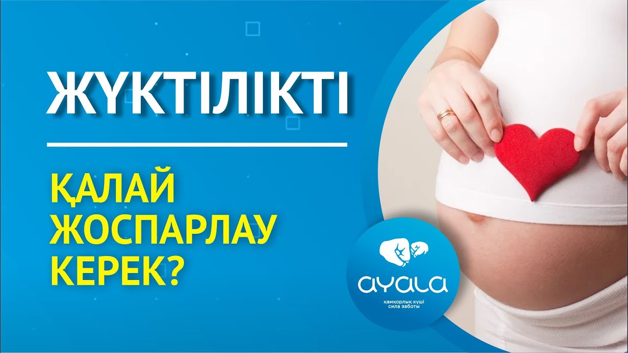 ЖҮКТІЛІКТІ ЖОСПАРЛАУ / AYALA