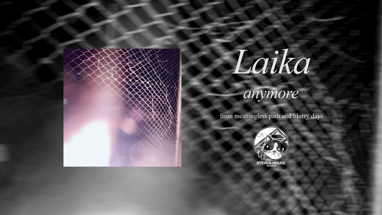 Laika - anymore