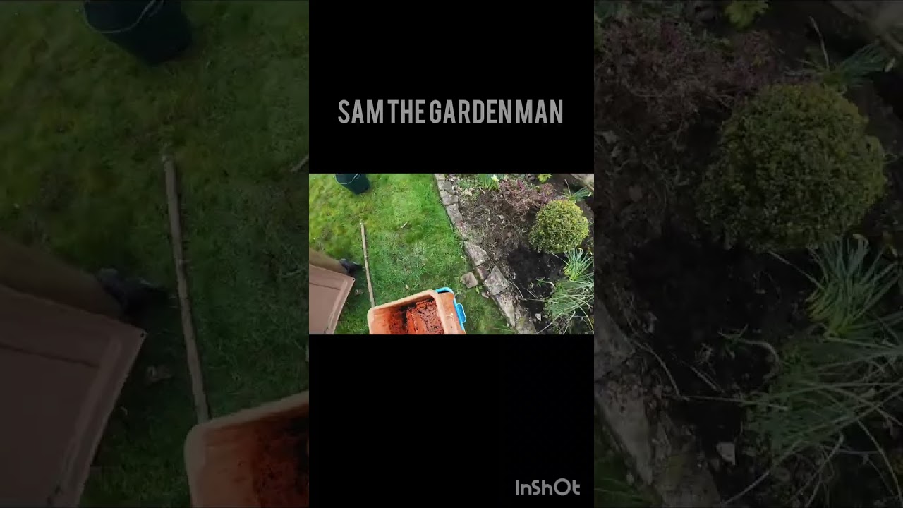 Start to Finish #samthegardenman  #gopro #shortvideo #longvideo 