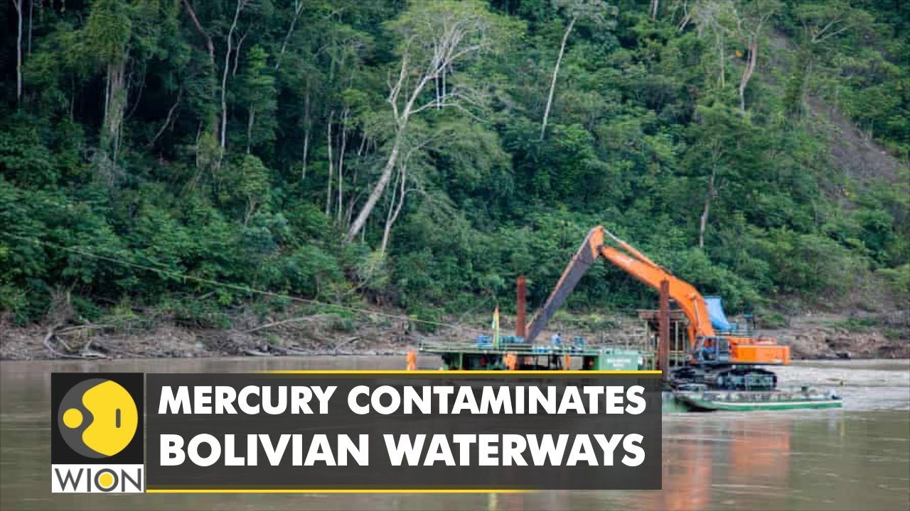 Strife between miners & locals: Wildcat gold mining booms in Bolivia | International News | WION