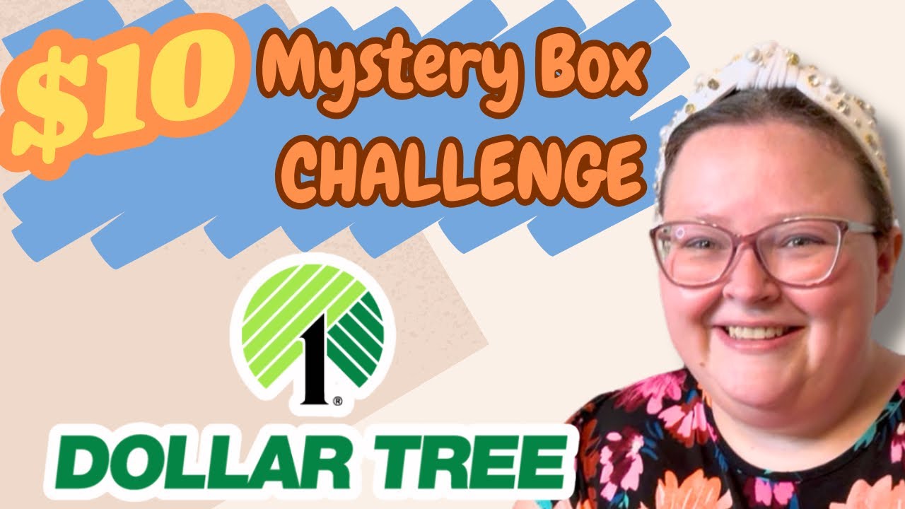 $10 Mystery Box Challenge | Dollar Tree Dinner Edition | Budget Meals