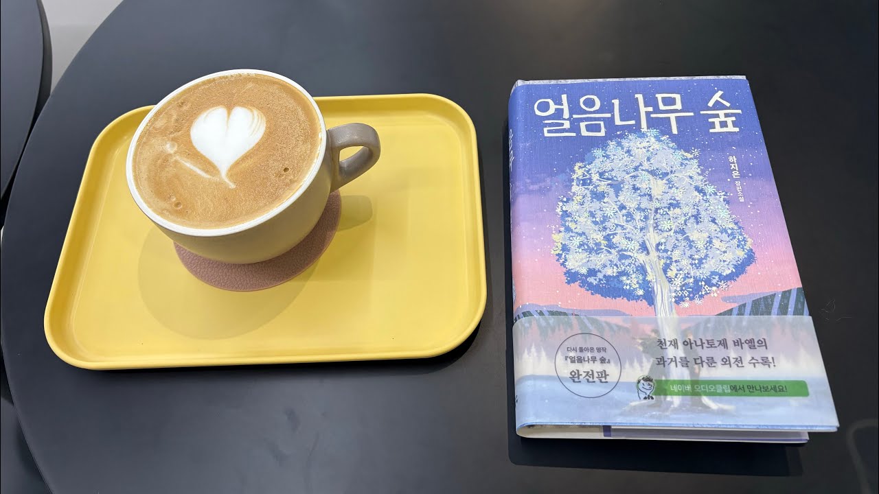 read with me 얼음나무 숲 | 카페소음
