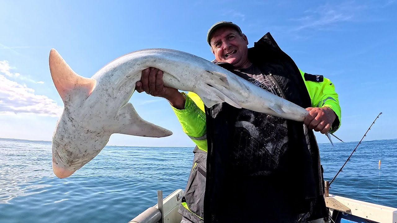 We Were Not Expecting This The largest Shark Caught On The Boat Deep Sea Fishing Bream Pollack Bass