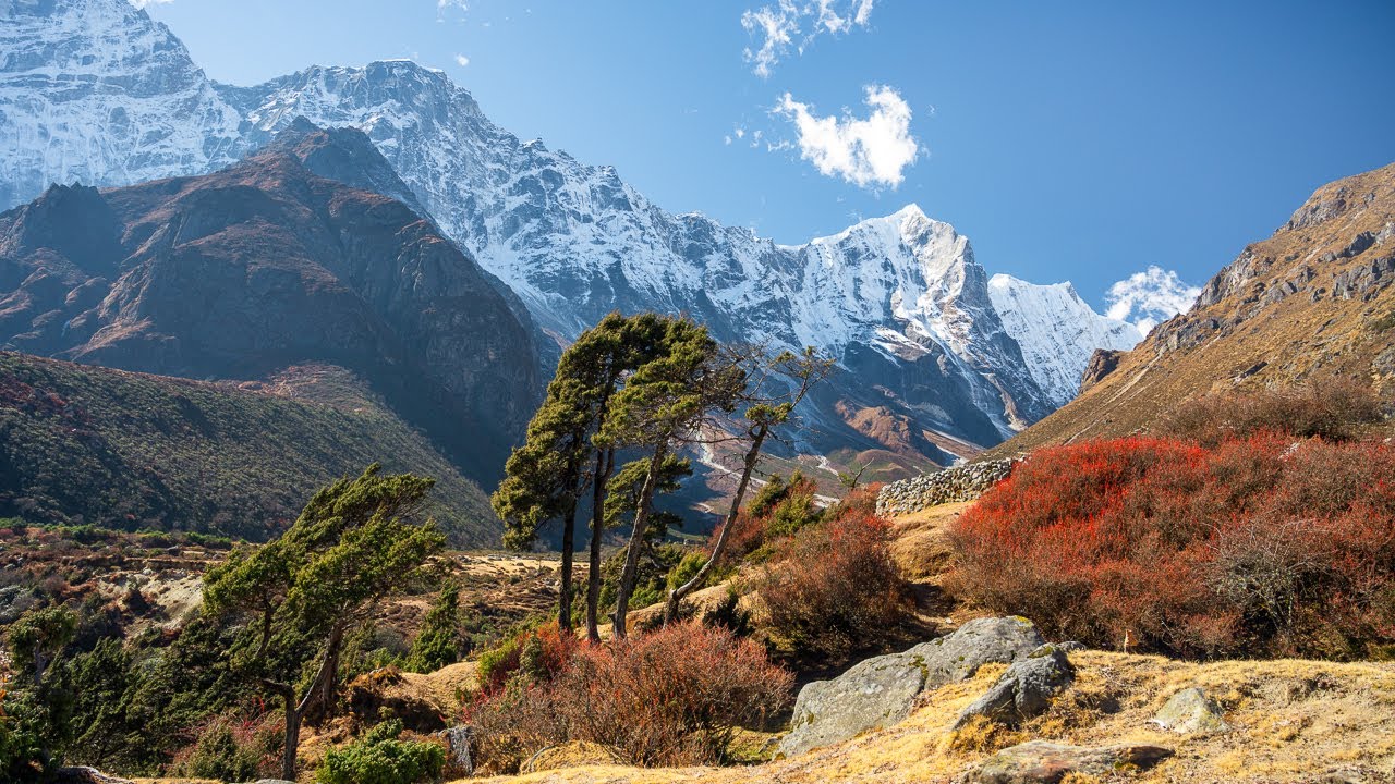 Everest Three Passes Trek Day 15/16 - THE END