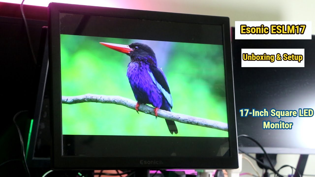 ESONIC ESLM17 17-Inch Square LED Monitor Unboxing,Assembly & Features