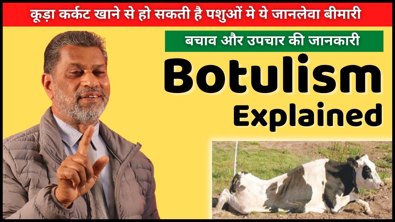पशुओं मे होने वाली जानलेवा बीमारी बोटुलिज़्म के बारे मे पूरी जानकारी | Botulism in Animals