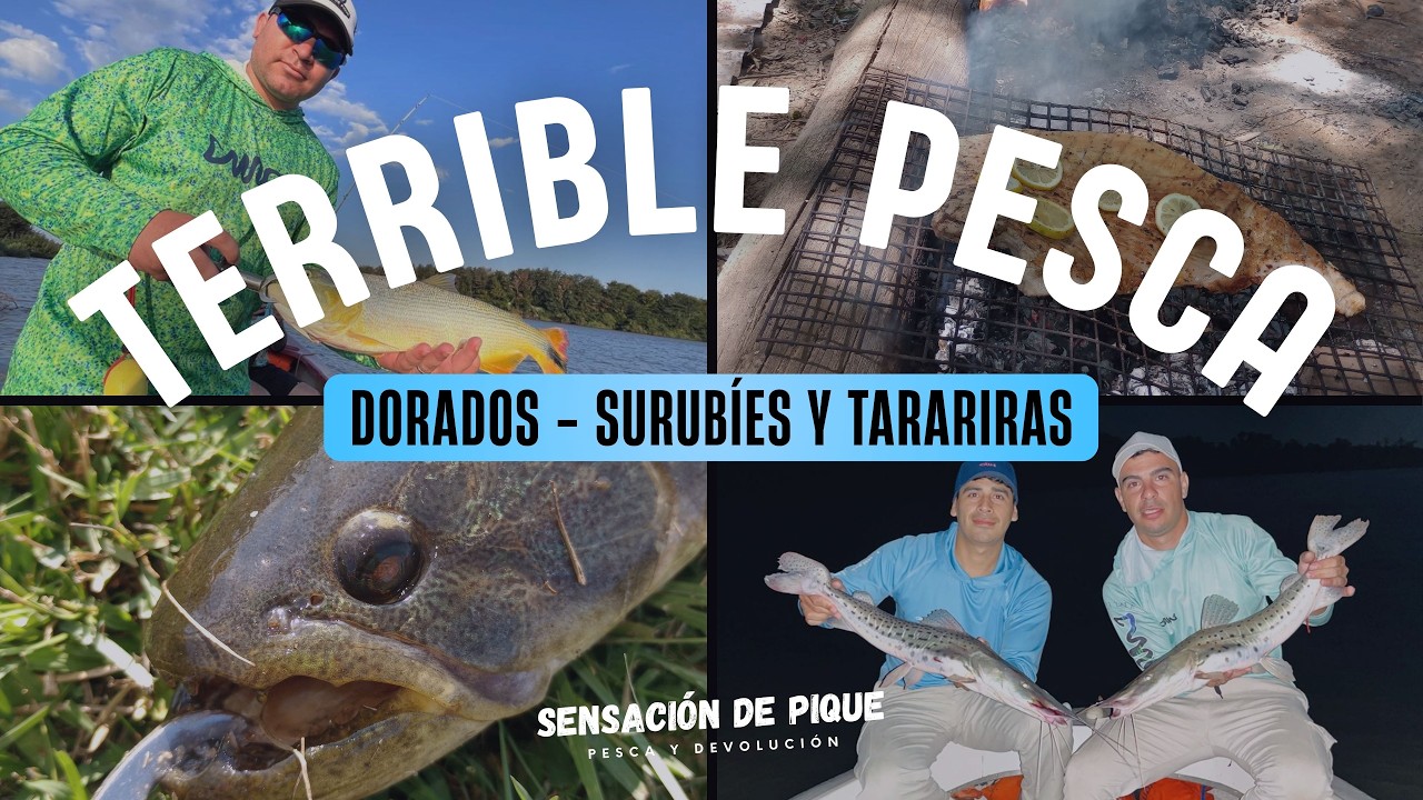 Surubies, Dorados y Tarariras en el Rio Uruguay
