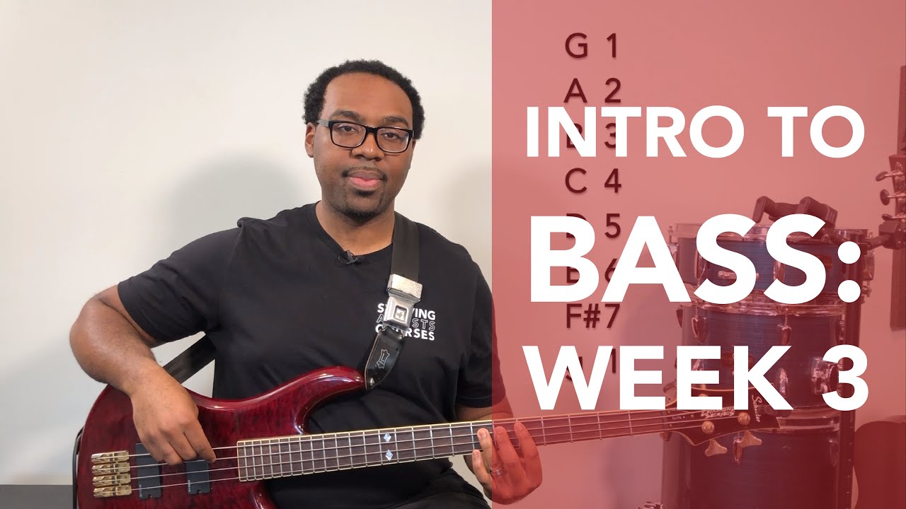 Intro to Bass - The Number System and Scale Progression  (Starving Artists Courses)