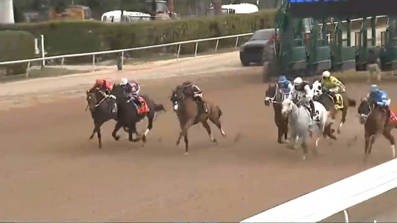R8 - GULFSTREAM PARK USA 30 JAN 2026
