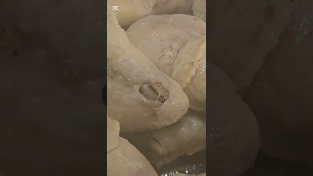 مكموره  الدجاج السوريه بااطيب مذاق واسهل طريقه