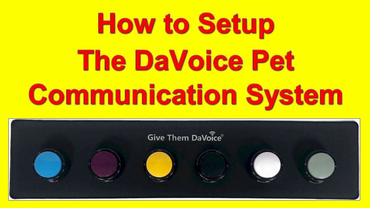 DaVoice Dog Talking Button Board Setup - The Best Dog Button Board on Amazon!