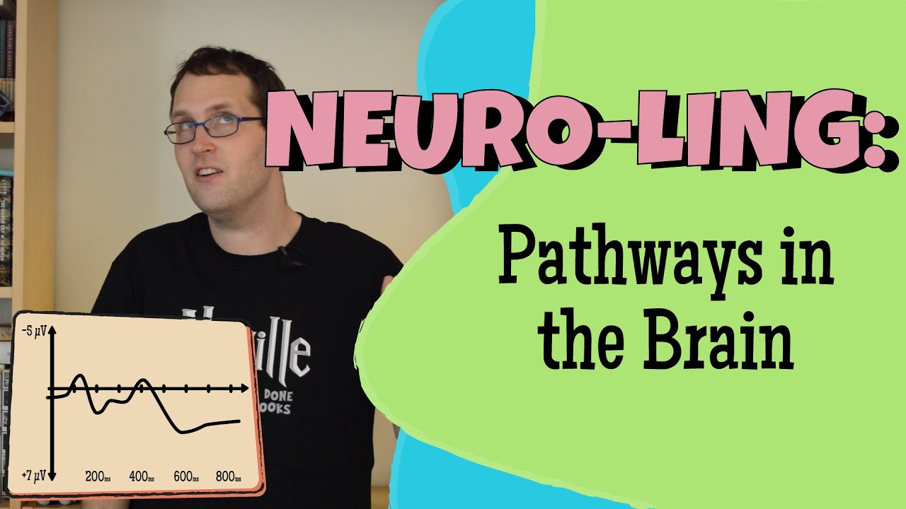 Neurolinguistic Processing