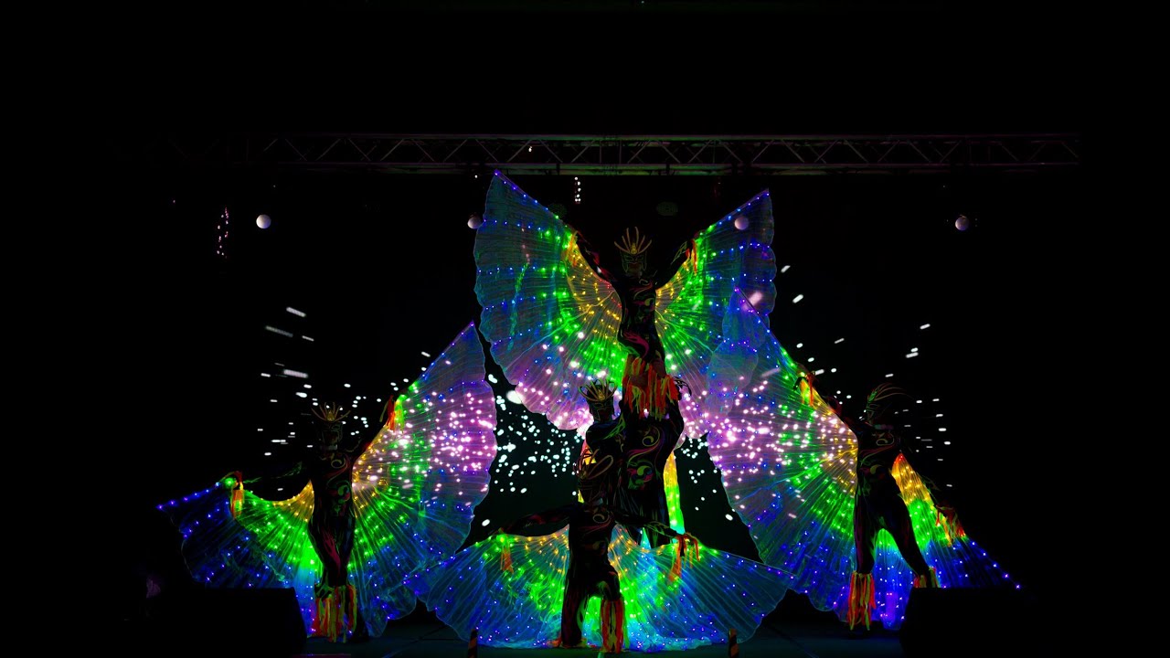 led butterfly dance full version