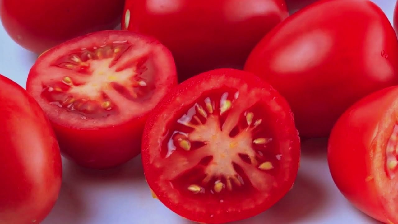 Tomaten – fra jord til bord