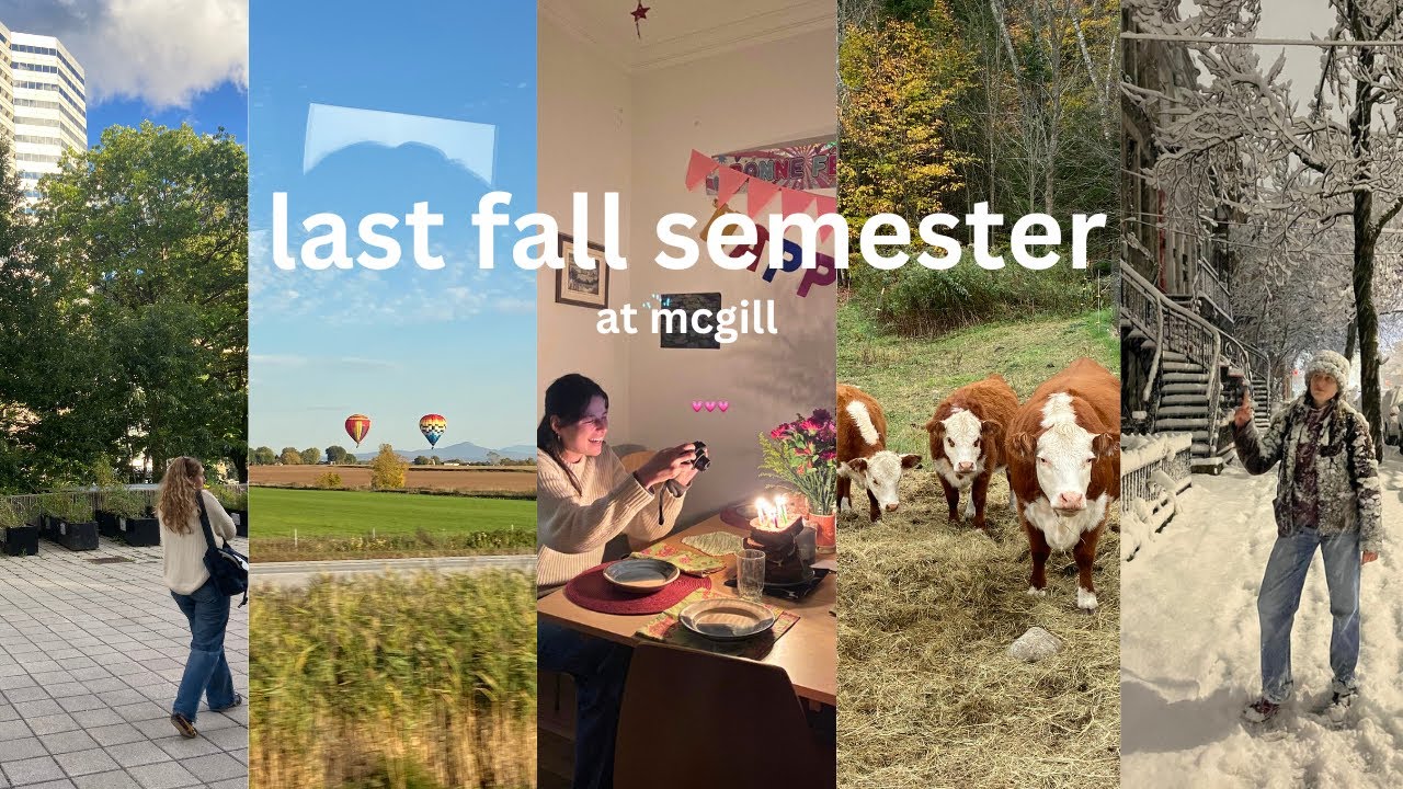 my last fall semester at mcgill university