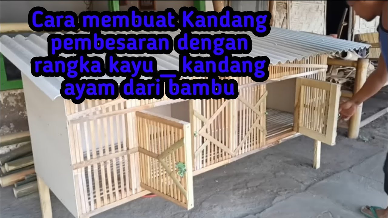 Cara membuat Kandang pembesaran dengan rangka kayu _ kandang ayam dari bambu #ayam #ayambangkok #fyp