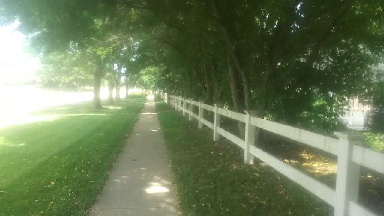 Tree lined walk along Bricher Street in Geneva, Illinois || June 14, 2025