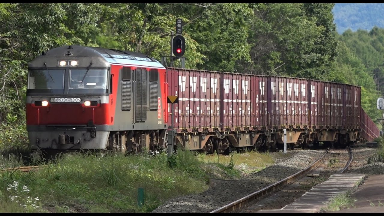 レッドベアーDF200　EH800牽引　2024年度 馬鈴薯輸送専用列車　総集編
