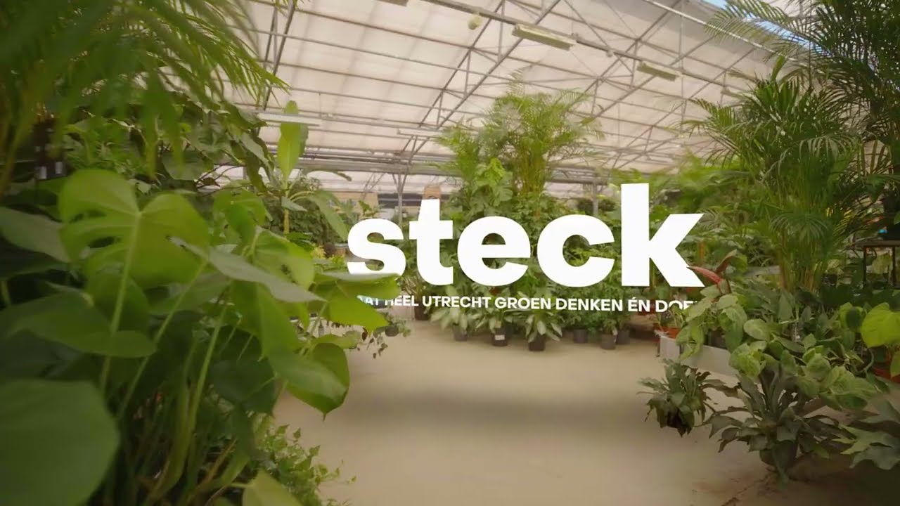 Steck: een groene stadsoase in Utrecht