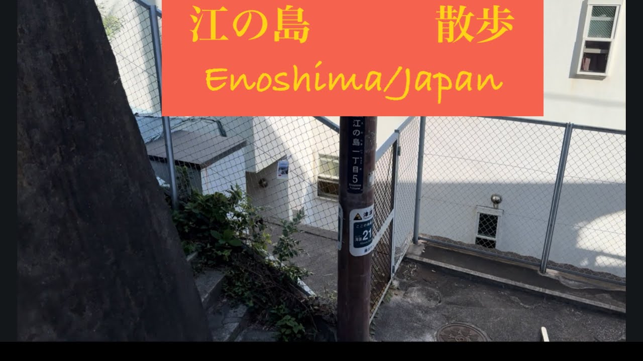 江の島散歩 #japan #神奈川県 #湘南 #江の島 #散歩 #walking 