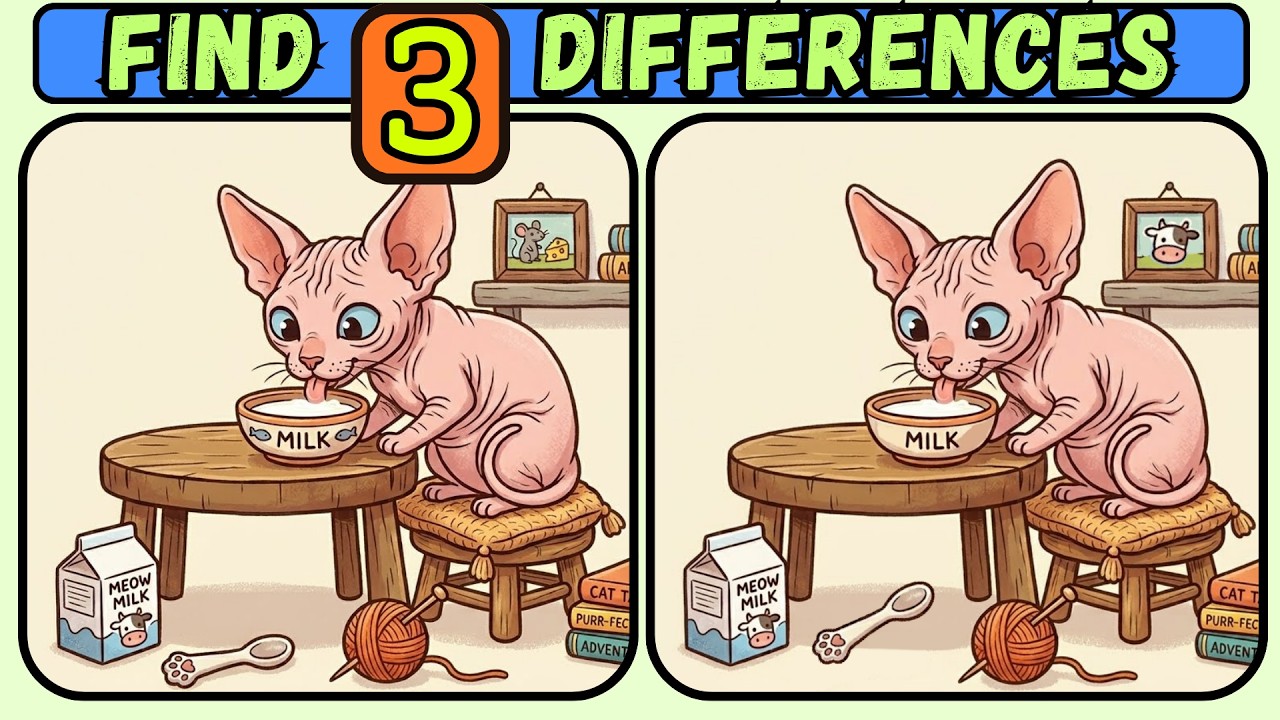 Spot the Difference Puzzle | Can You Find All the Differences?