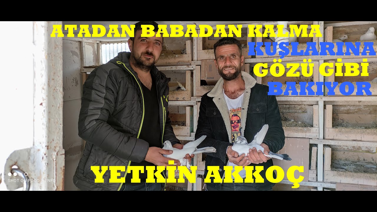 VAN SELİMBEY MAHALLESİ KUŞÇULARINDAN YETKİN AKKOÇA  MİSAFİR OLDUK