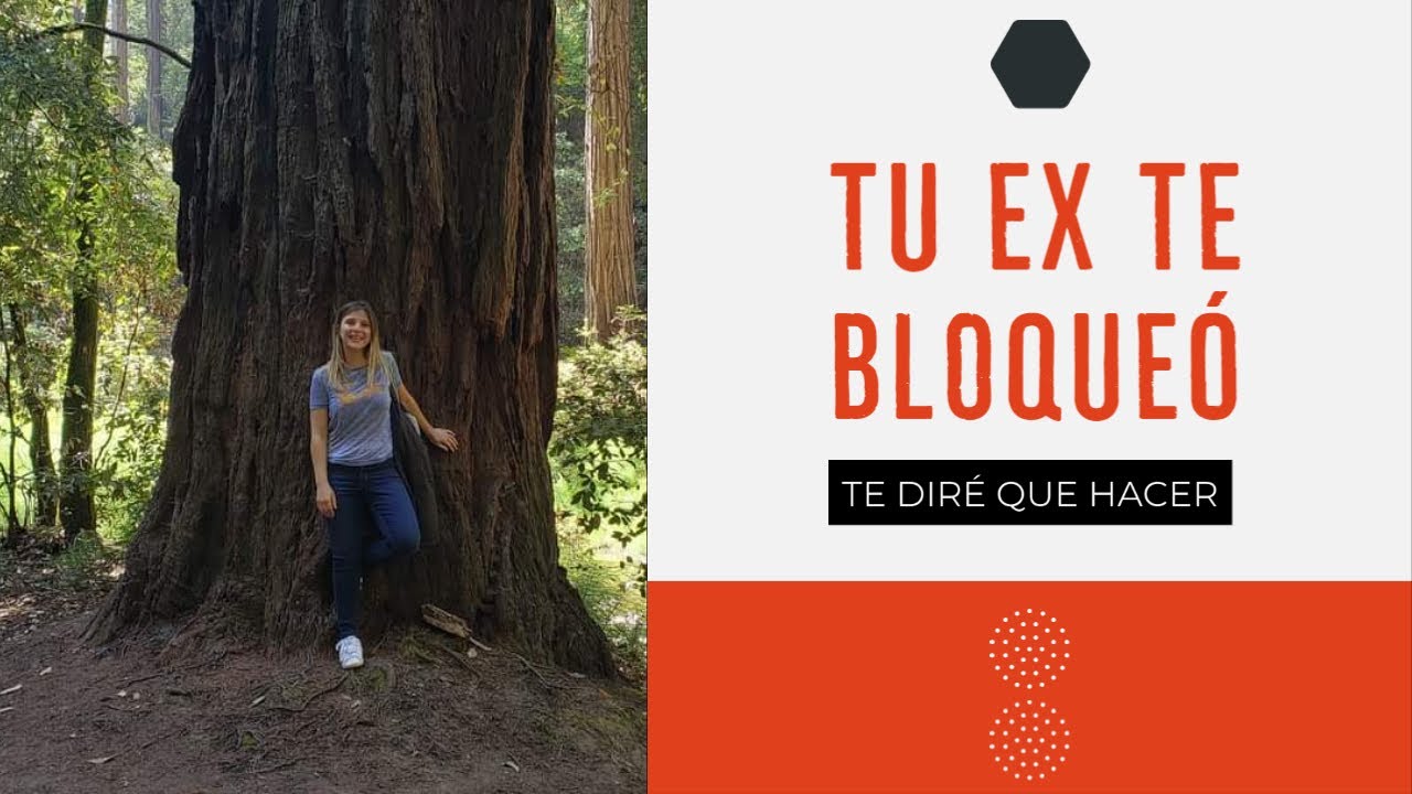Te diré que hacer cuando tu ex te BLOQUEA De WhatsApp Face o Instagram