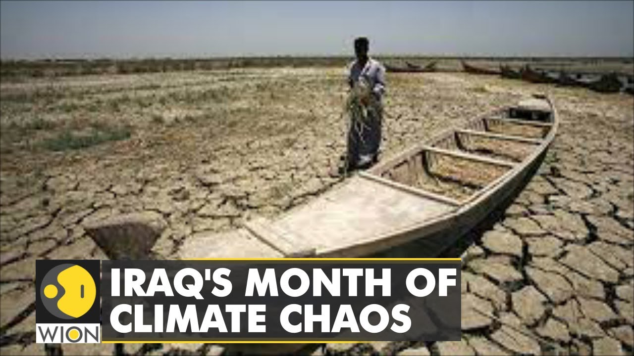 Climate Crisis next big threat for Iraq | Country experienced 10 sandstorms since April | WION