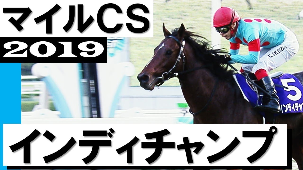 「令和のマイルチャンピオンだ！インディチャンプ」【マイルチャンピオンシップ2019】