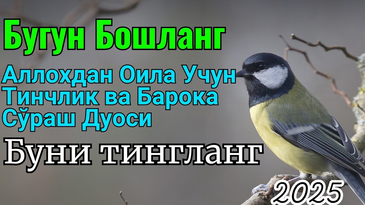 МАНА ШУ ОЯТНИ БИР МАРТА ТИНГЛАШНИНГ ЎЗИ ЕТАРЛИ ❗ РИЗҚ ЭШАГИНИ ОЧУВЧИ ЗИКР, ТЕЗ БОЙЛИК ДУОСИ