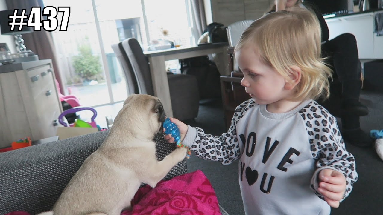 BABY SPEELT MET PUPPY - JILL VLOG #437