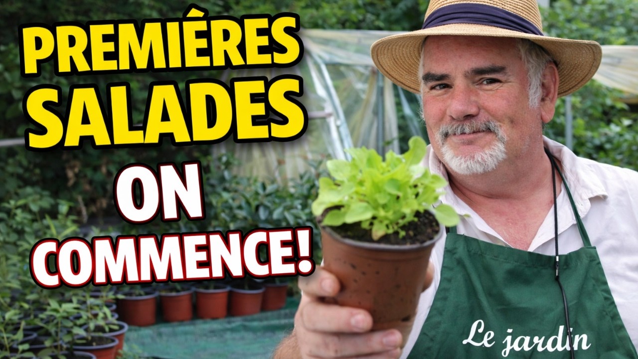 Les premières salades : c’est maintenant que tout se joue