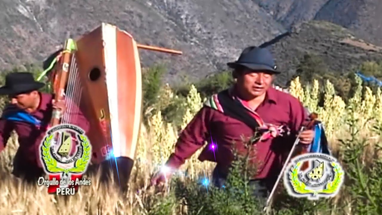 FULL ARPA Y VIOLIN CON EL ETERNO JARANERO JUAN CHOLUCHA Y SUS SUPER PUPURRIIS HUAYNOS JARANEROS