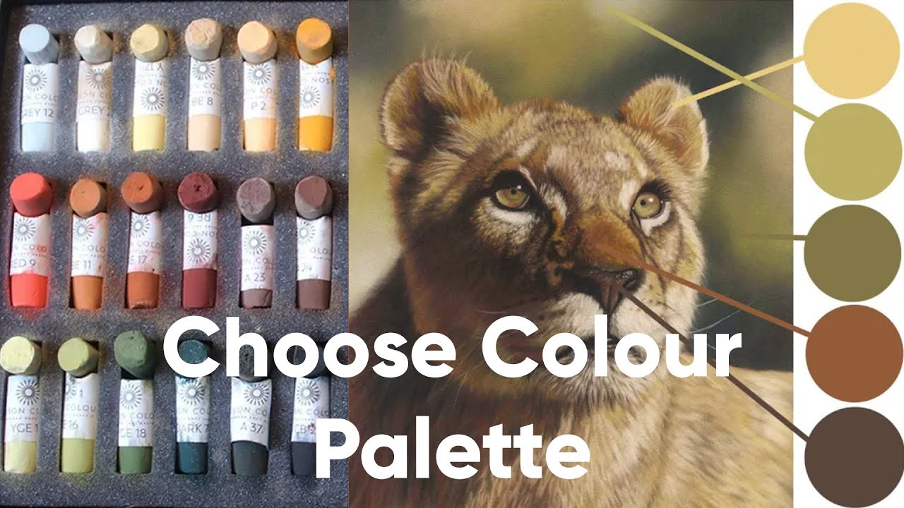 How To Choose a Colour Palette