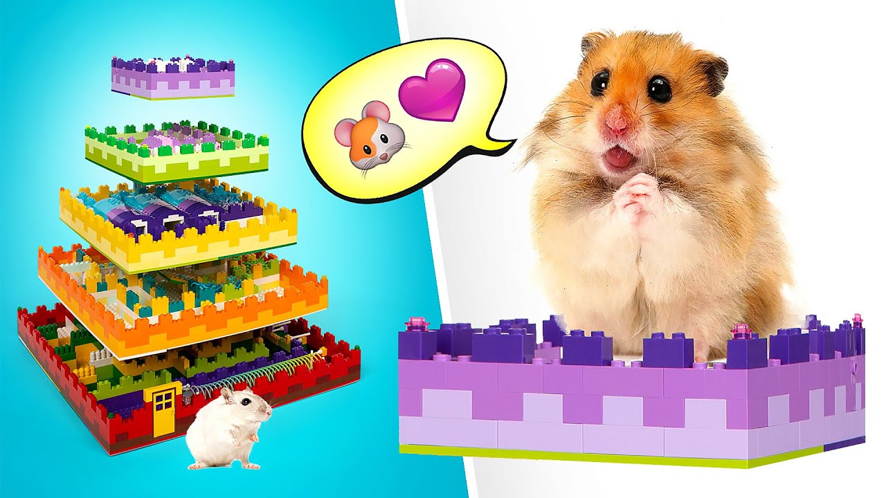 Cum să faci cel mai tare labirint pentru hamsteri || FUN DIY!🐹🐀🐀