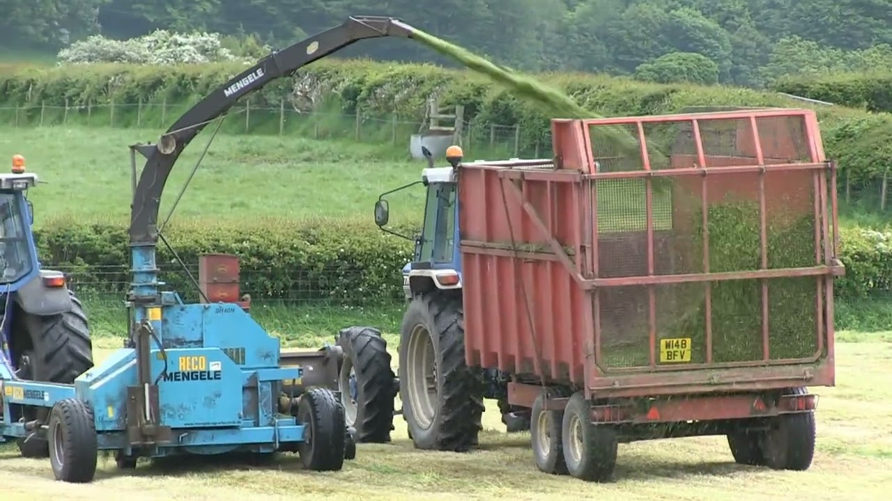 HARVESTING SILAGE WITH FORD 8630 AND MENGELE SH40N