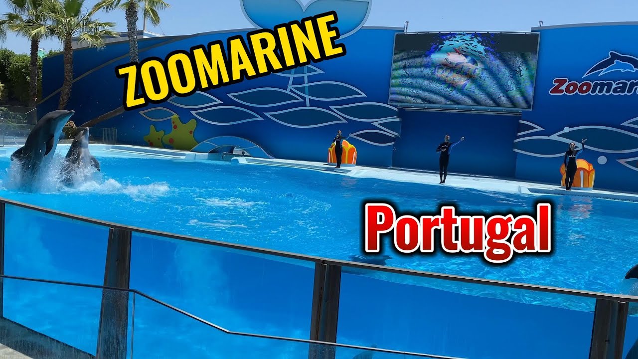 Zoomarine Portugal |  Algarve | Travel vlog | Dolphins show