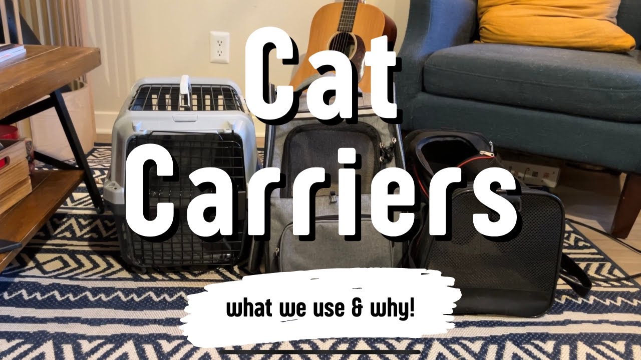 We Have 3 Different Styles of Cat Carriers For Our 3 Different Cats - Here&rsquo;s What We Use & Why!