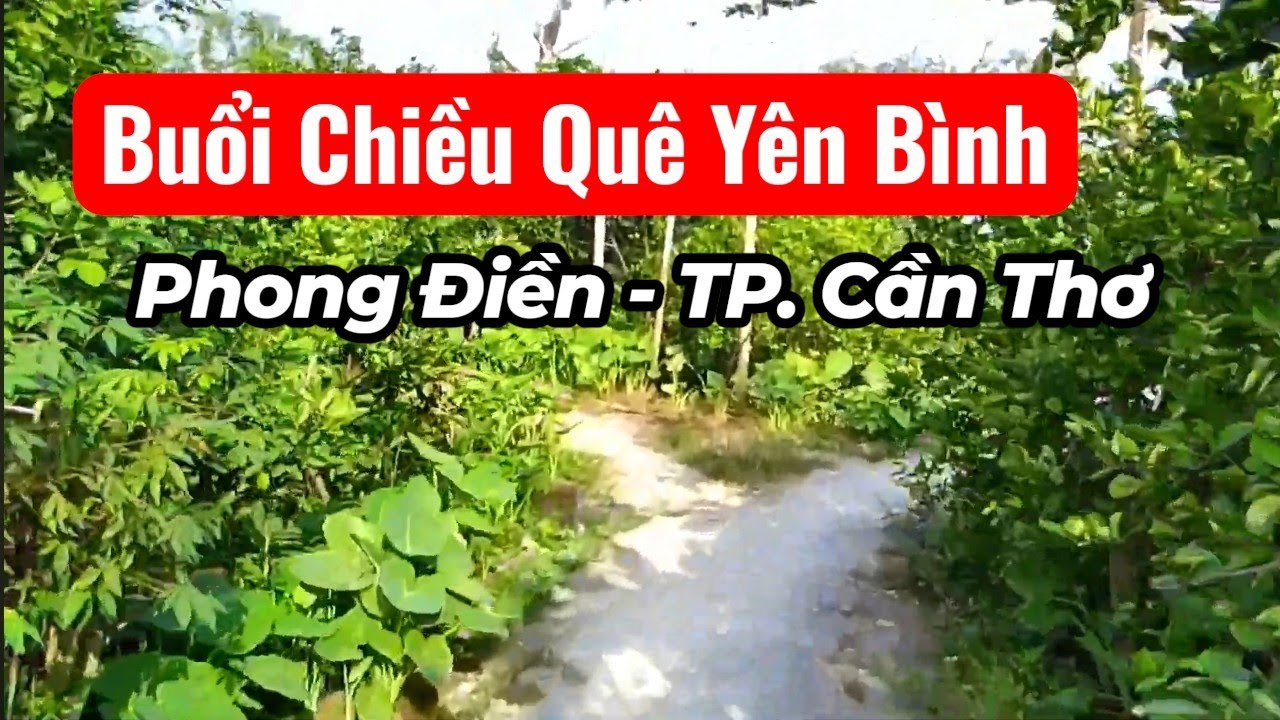 ✨️Du Lịch Đường Quê Yên Bình ở Huyện Phong Điền , Cần Thơ ✨️ Vlog ✨️Du Xuân 2026