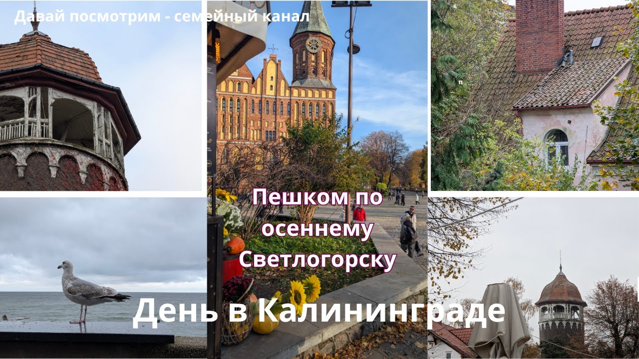 Отпуск в Светлогорске / РУМ ТУР номера в БАДЕН СПА / Один день в Калининграде / Осень 2025