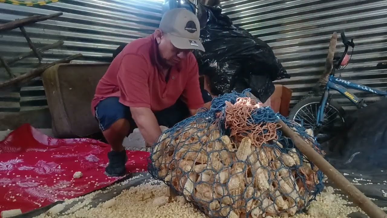 Aporreada de maíz, Como lo hacíamos antes🌽