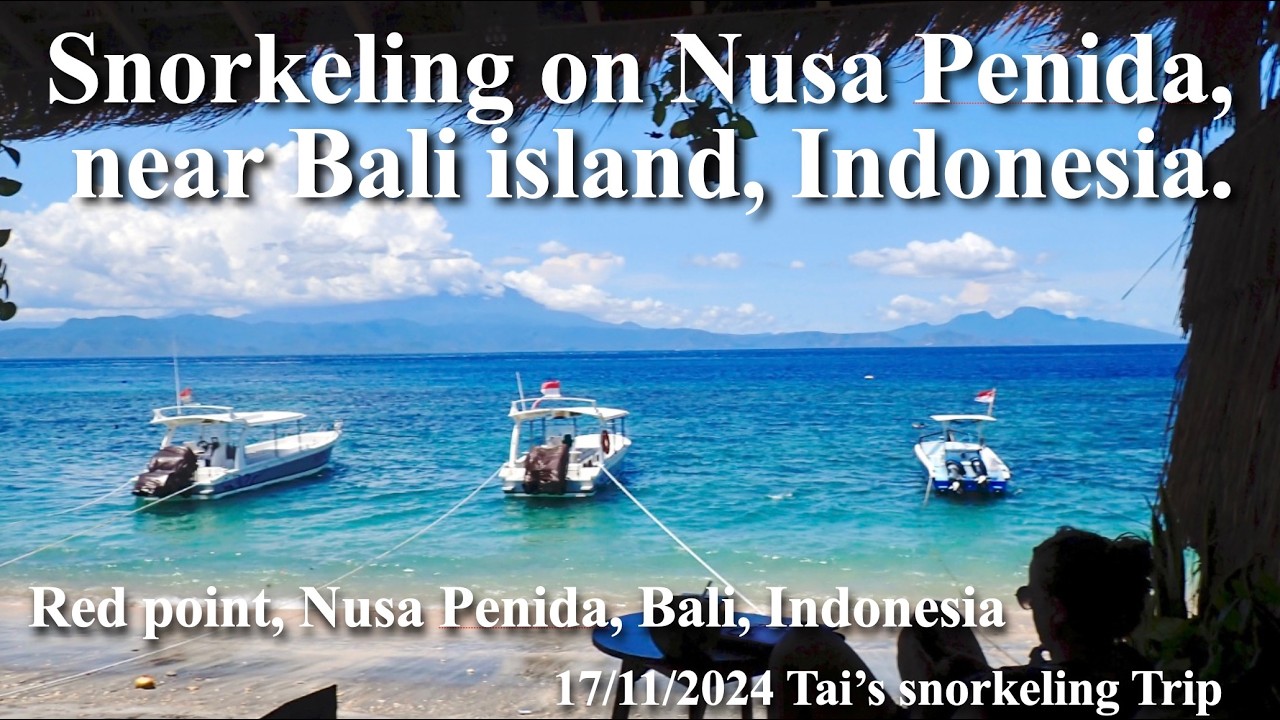 【#113 Tai’s Snorkeling Journey 】Snorkeling in Pod point, Nusa Penida, Bali, Indonesia.